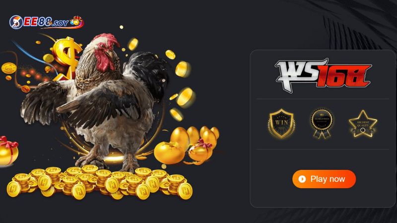 WS168 là sân chơi cá cược đá gà trực tuyến uy tín, phổ biến